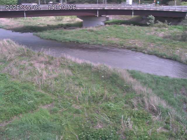 野坂川３2026/05/01 16:40