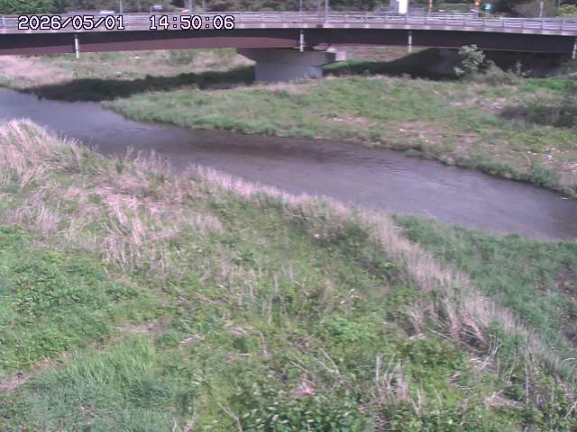 野坂川３2026/05/01 16:40