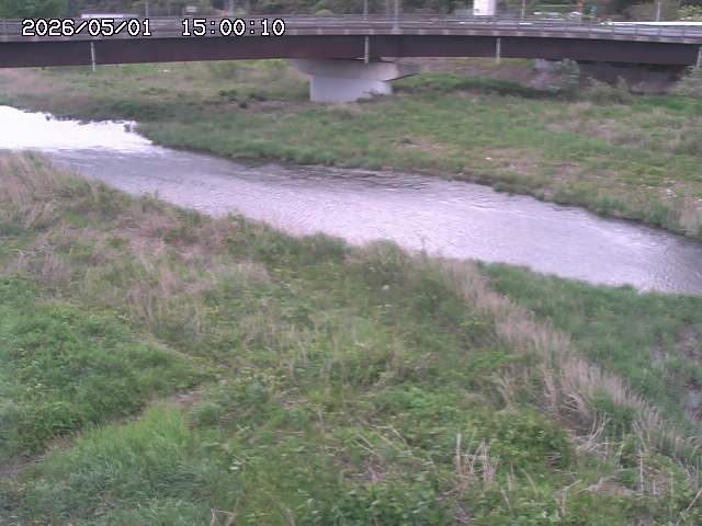 野坂川３2026/05/01 16:40