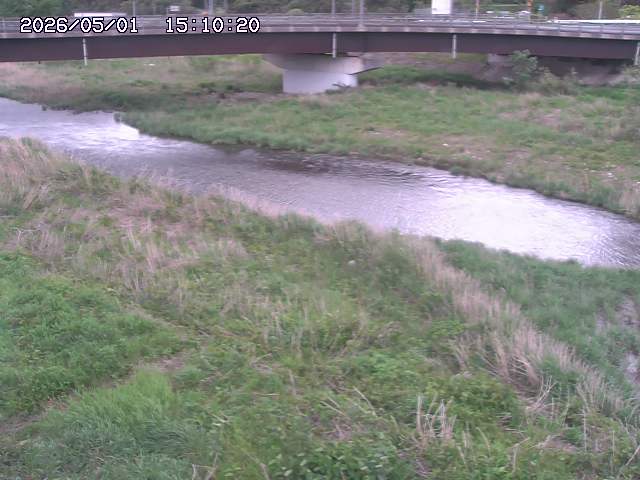 野坂川３2026/05/01 16:40