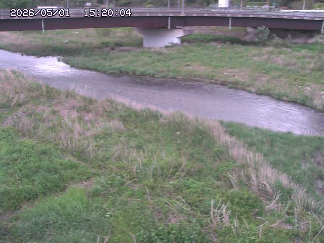 野坂川３2026/05/01 16:40