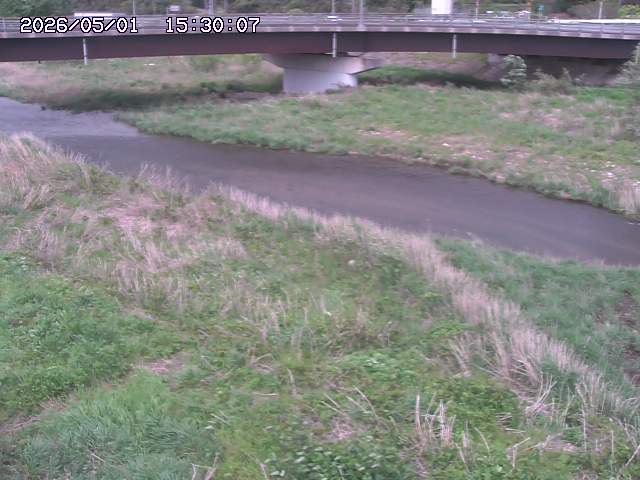 野坂川３2026/05/01 16:40