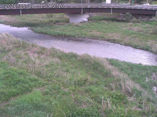 野坂川３2026/05/01 16:40