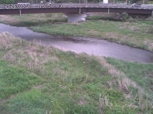 野坂川３2026/05/01 16:40