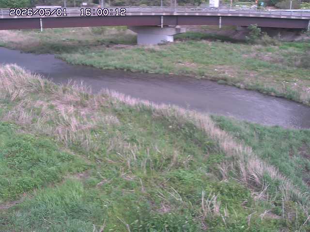 野坂川３2026/05/01 16:40