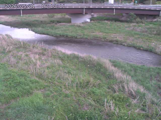 野坂川３2026/05/01 16:40