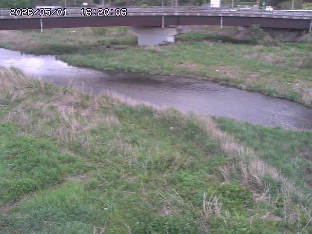 野坂川３2026/05/01 16:40
