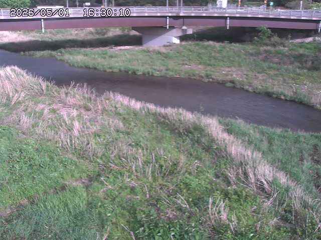野坂川３2026/05/01 16:40