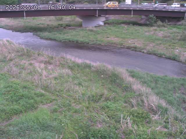 野坂川３2026/05/01 16:40