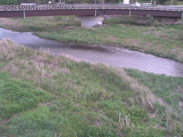 野坂川３2026/05/01 16:40