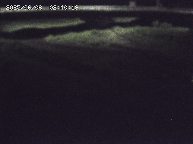 野坂川３2025/06/06 02:40