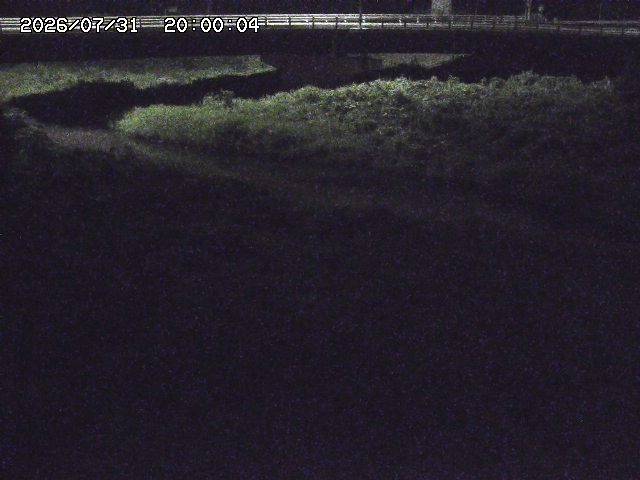 野坂川３2026/08/01 20:40