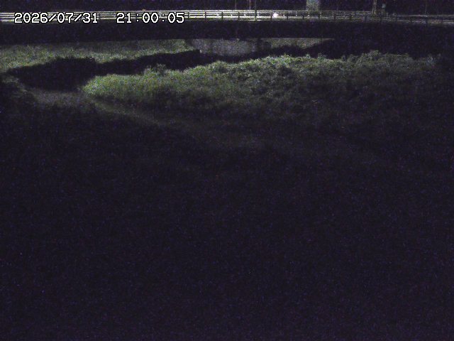 野坂川３2026/08/01 20:40