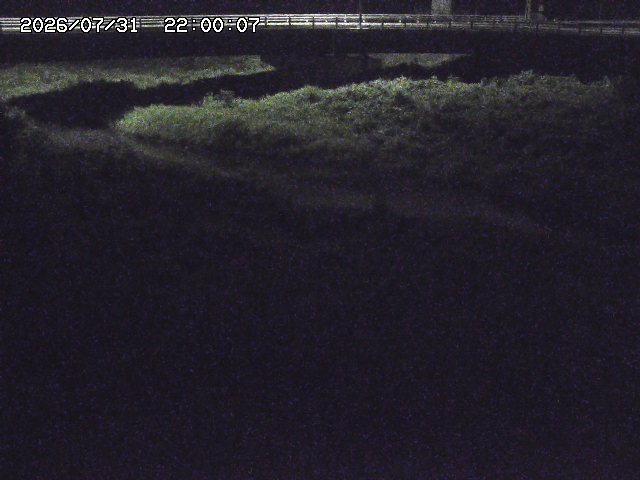 野坂川３2026/08/01 20:40