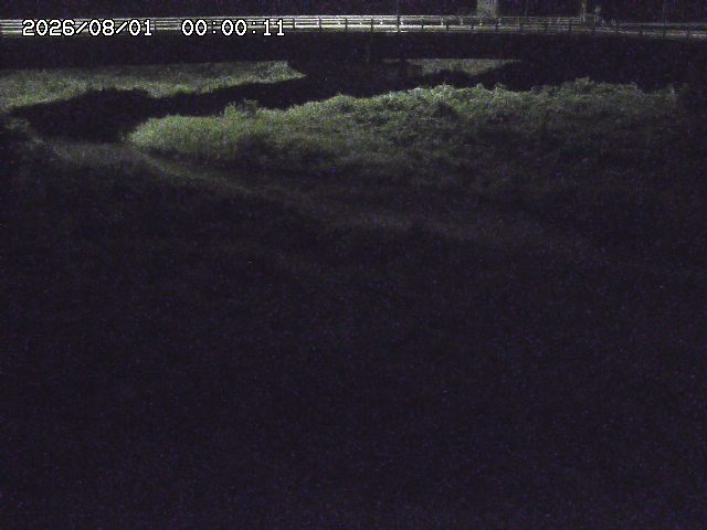野坂川３2026/08/01 20:40