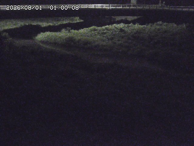 野坂川３2026/08/01 20:40