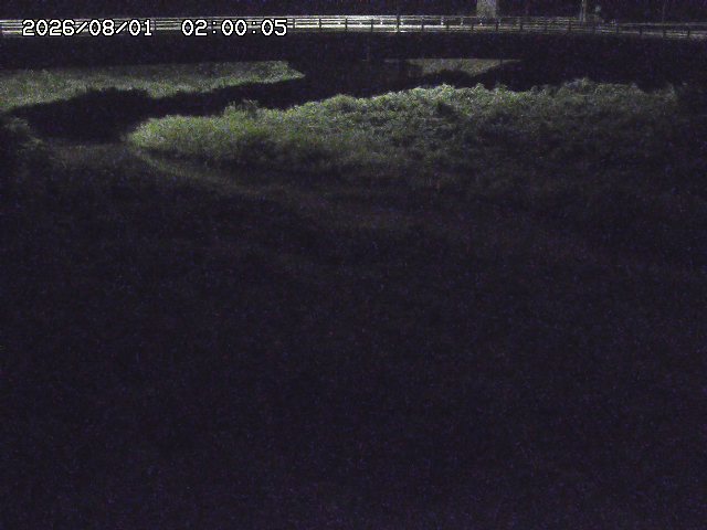 野坂川３2026/08/01 20:40