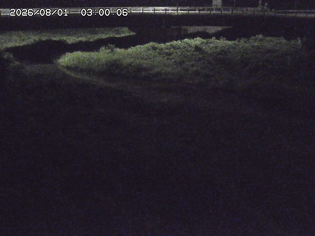野坂川３2026/08/01 20:40
