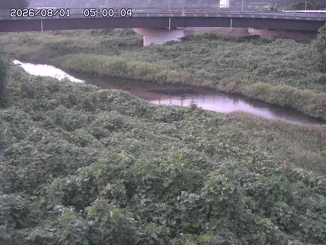 野坂川３2026/08/01 20:40