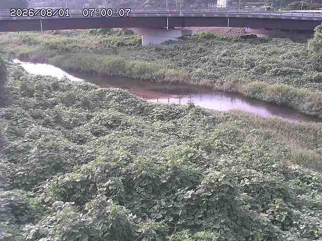 野坂川３2026/08/01 20:40