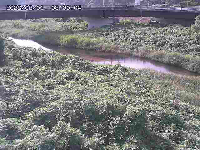野坂川３2026/08/01 20:40