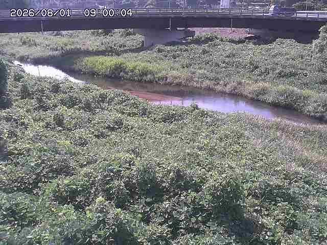 野坂川３2026/08/01 20:40