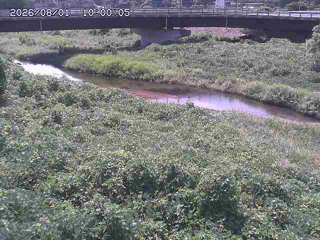 野坂川３2026/08/01 20:40