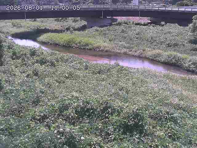 野坂川３2026/08/01 20:40