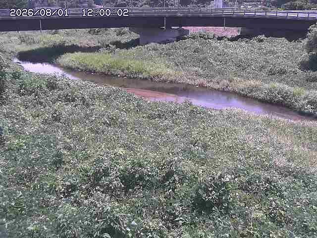 野坂川３2026/08/01 20:40