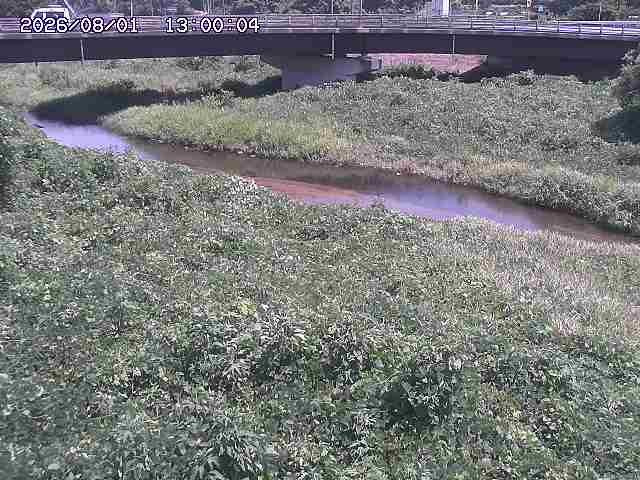 野坂川３2026/08/01 20:40