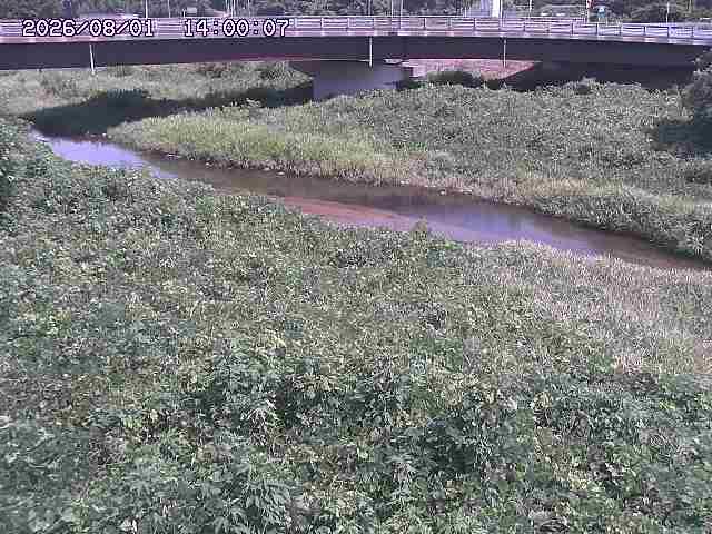 野坂川３2026/08/01 20:40