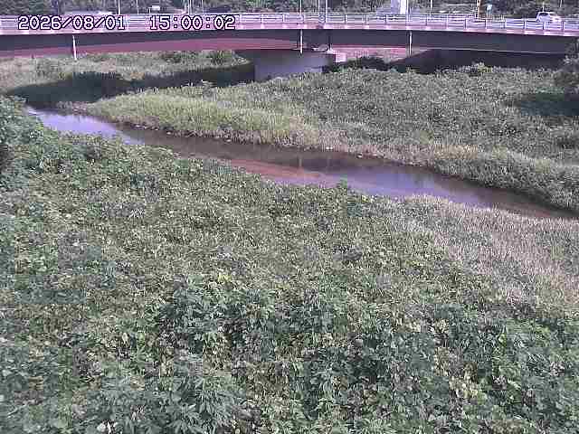 野坂川３2026/08/01 20:40