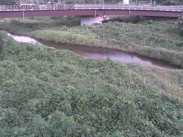 野坂川３2026/08/01 20:40