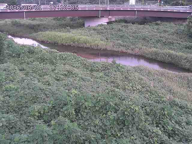 野坂川３2026/08/01 20:40