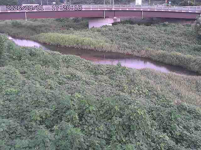 野坂川３2026/08/01 20:40