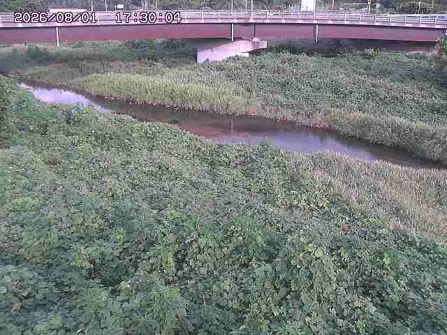 野坂川３2026/08/01 20:40