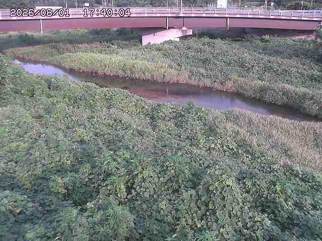 野坂川３2026/08/01 20:40