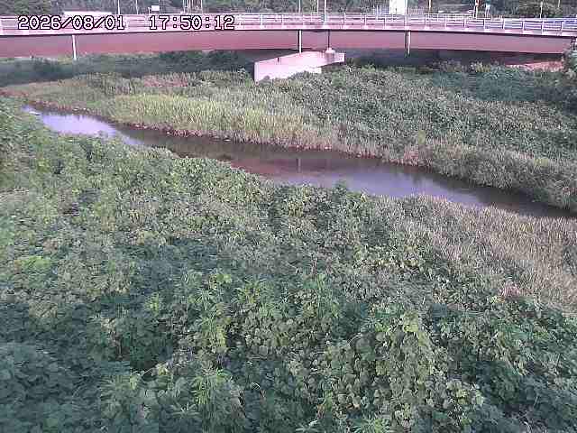 野坂川３2026/08/01 20:40
