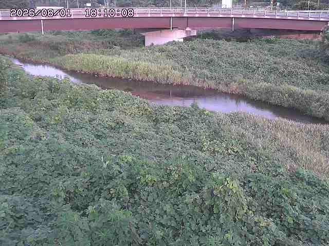 野坂川３2026/08/01 20:40