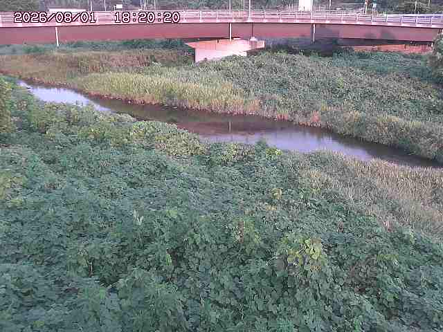 野坂川３2026/08/01 20:40