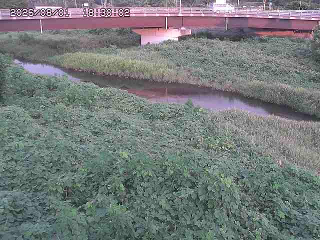 野坂川３2026/08/01 20:40