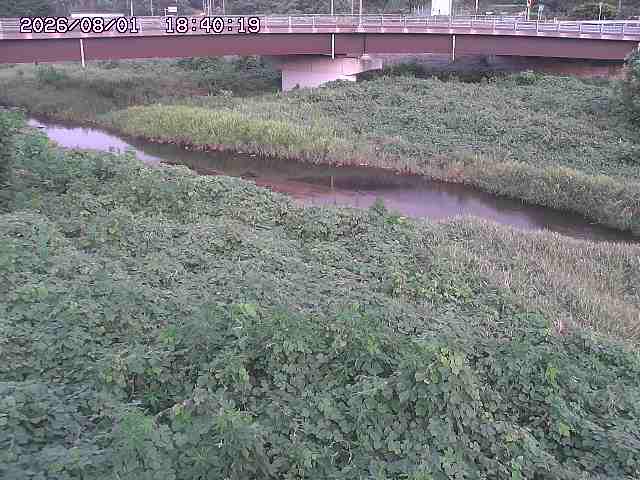 野坂川３2026/08/01 20:40