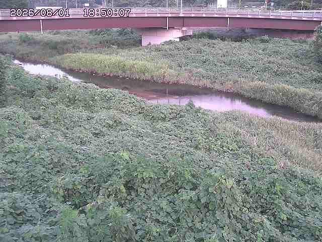 野坂川３2026/08/01 20:40