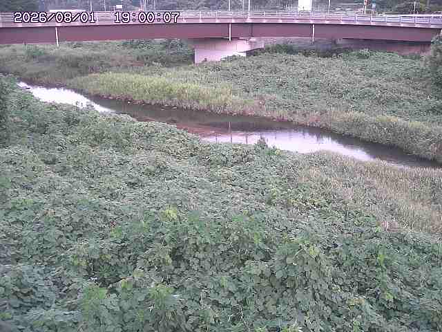野坂川３2026/08/01 20:40