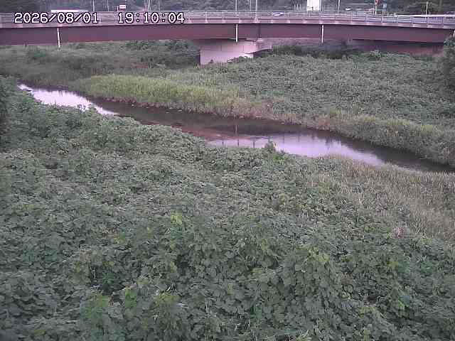野坂川３2026/08/01 20:40