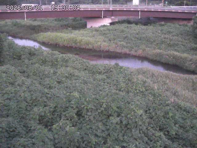 野坂川３2026/08/01 20:40