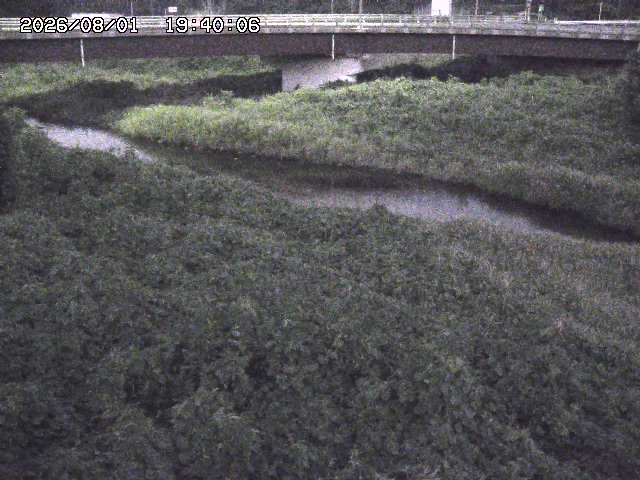 野坂川３2026/08/01 20:40