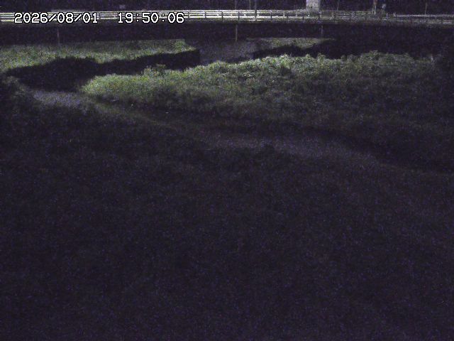 野坂川３2026/08/01 20:40