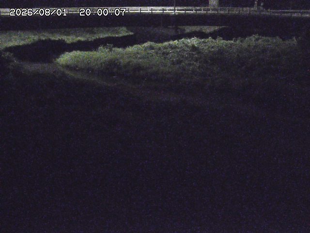 野坂川３2026/08/01 20:40
