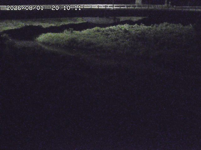 野坂川３2026/08/01 20:40